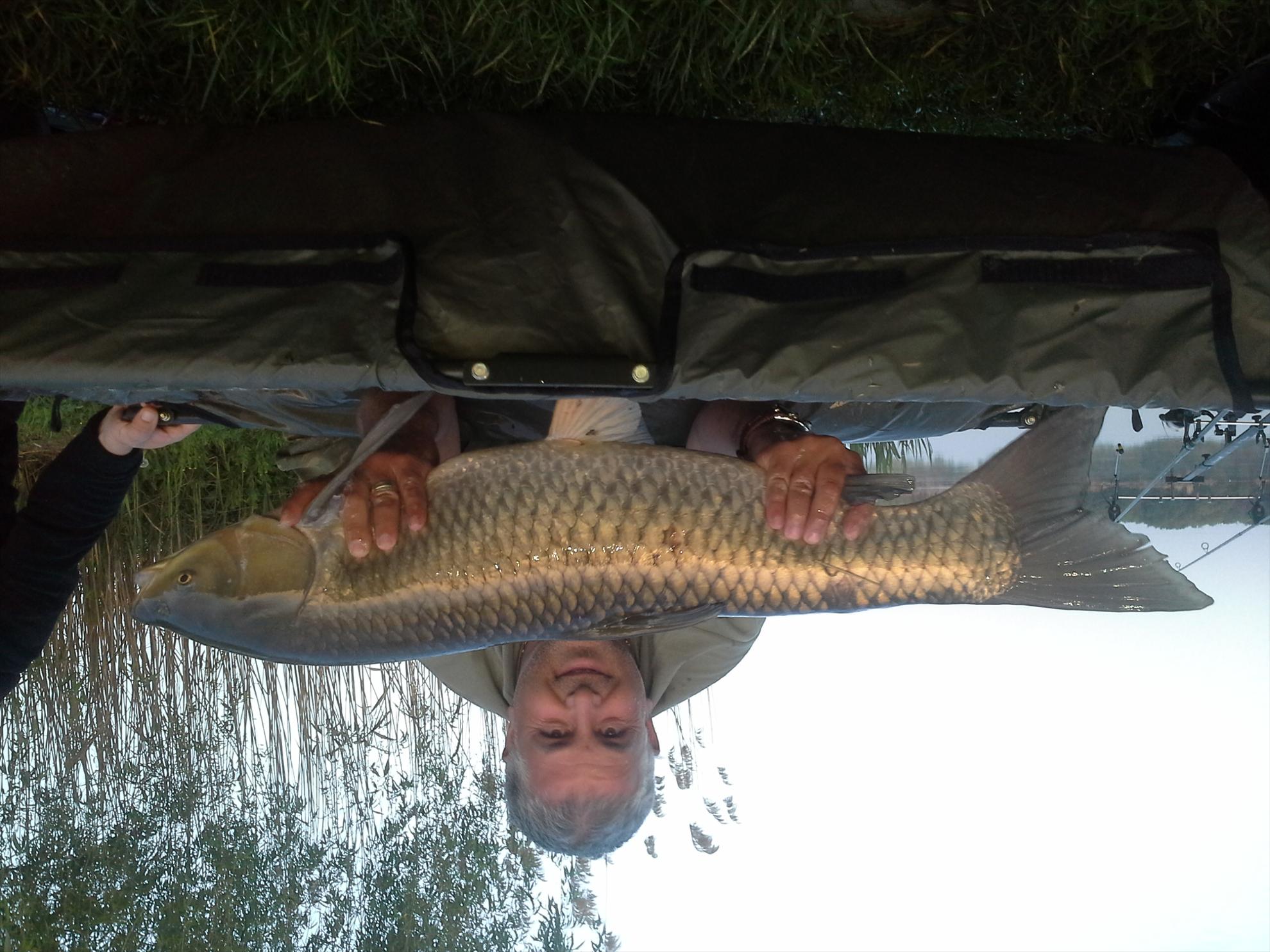 Pescuit la crap - 201304270621511.jpg